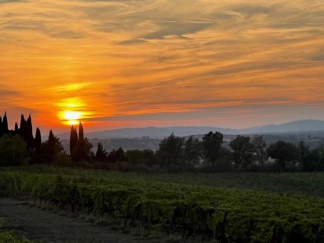 Podere Borgaruccio Peccioli Exteriér fotografie