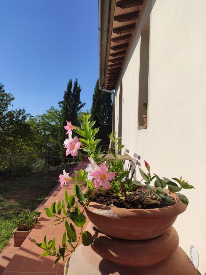 Podere Borgaruccio Peccioli Exteriér fotografie