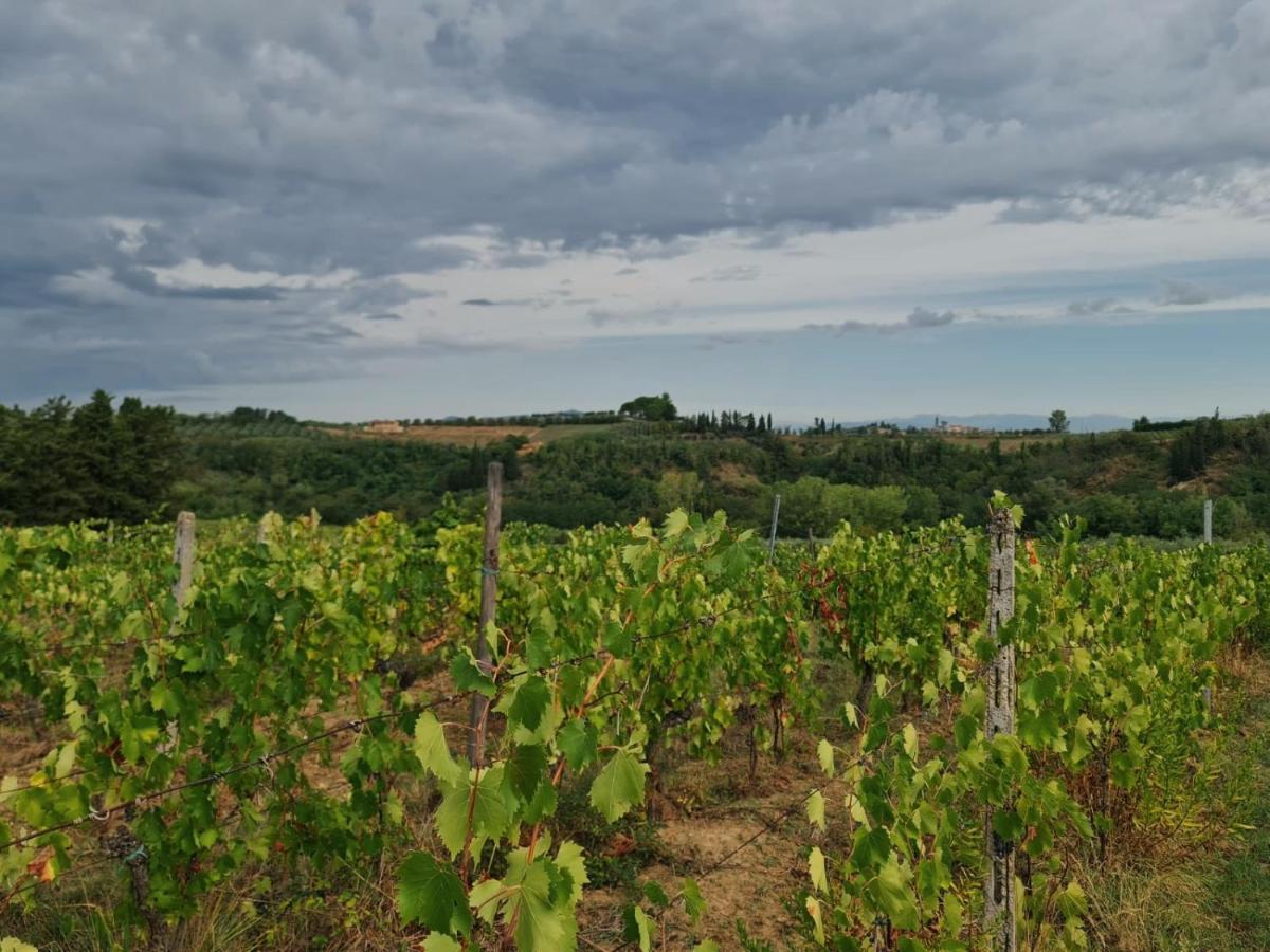 Podere Borgaruccio Peccioli Exteriér fotografie